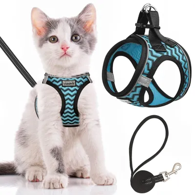 Katzenhalsband mit Leine, ausbruchsicher, verstellbar, reflektierend, M