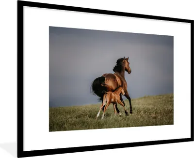 Produktbild von MuchoWow® MuchoWow® Gerahmtes Poster Tiere - Pferde - Fohlen 90x60 cm - Poster mit zchwarzem Bilderrahmen - Wanddekoration - Fotos