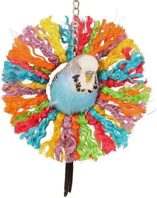 Immagine prodotto di Rainbow Sisal - Giocattolo altalenante per pappagalli di piccola e media taglia