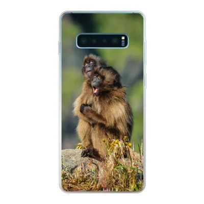 Produktbild von MuchoWow® Handyhülle Schutzhülle Hülle für Samsung Galaxy S10 Lite Affen - Pflanzen - Steine - Familie Silikon Softcase Handy Hülle - Schutz