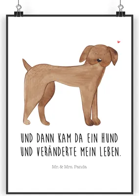 Produktbild von Mr. & Mrs. Panda Bild Hund Dogge DIN A3 - Weiß - Geschenk, drucke, Hunde, Süß, Deutsche, Plakat, Wandbild, Sprüche, Herz, kunstdruck poster, Posterdruck