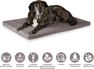 A dog lying on a dog bed with feature icons below.