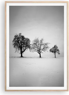 Produktbild von Gerahmtes Poster - Rahmen in heller Eiche - Winter Bäume Schnee - 70x100 cm - Wand Bild - Wanddeko - Wandbilder - Kunstposter - Wandposter - Bilderrahmen - Bilder - Kunstdruck - P2NPA70x100-4958