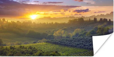 Produktbild von MuchoWow® Poster Toskana - Landschaft - Sonne 40x20 cm - Poster für die Wand - Poster Schlafzimmer