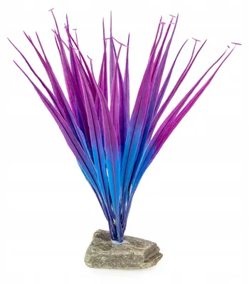 Image de Plante d'aquarium artificielle, 25 cm, avec pierre naturelle