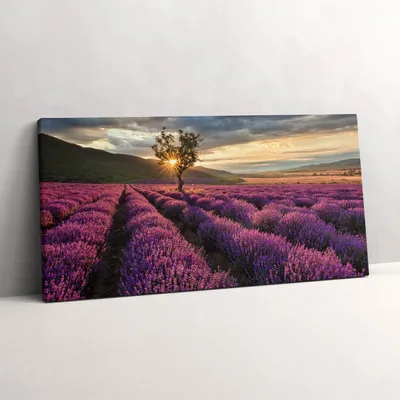 Produktbild von Lavendelfeld-Landschaft – Leinwandbild Wandbild – 120x60 cm – Leinwandbilder – Wandbilder – Schlafzimmer – Flur
