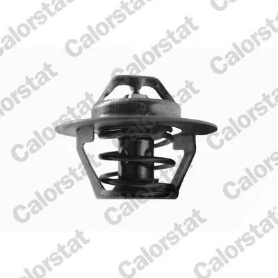 Image de Thermostat Ford Escort 92C