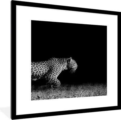 Produktbild von MuchoWow® Gerahmtes Poster Wildtiere - Leopard - Gras - Schwarz - Weiß 40x40 cm - Poster mit Schwarzem Bilderrahmen Wandposter Rahmen Foto Bilder - Poster - Plakat im Rahmen