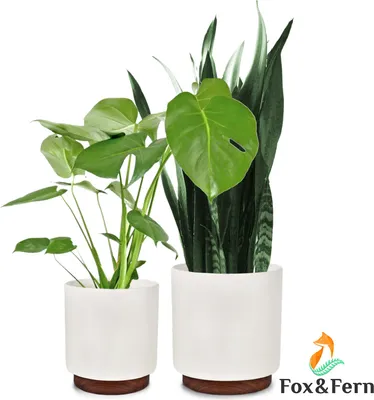 Image de Fox & Fern Pot de Fleur Interieur, Lot de 2 Pot pour Plantes en Polystone, Cache Pot Plante Interieur et Extérieur Résistant UV et Gel, Pot Fleur Exterieur, Jardinieres Exterieur avec Bouchon Drainage
