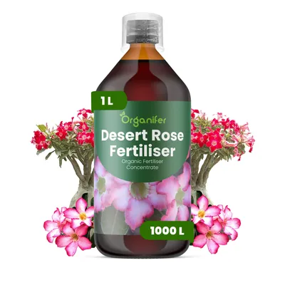 Produktbild von Wüstenrosen Flüssigdünger 1L – 2-1-8 NPK – Flüssigdünger Für Sukkulenten – Für Blätter & Üppige Blüte – Fördert Wurzeln & Vitalität – Organifer