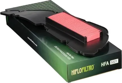Immagine prodotto di Filtro aria Hiflo HFA5221