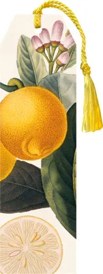 Image de Signet Citron