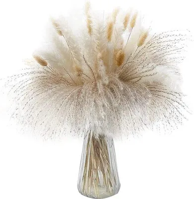 Produktbild von Famanu Vase – Pampasgras Dekor – 80 Stück