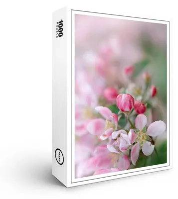 Image de puzzle raxxa Premium "Splendeur des fleurs", 1000 pièces