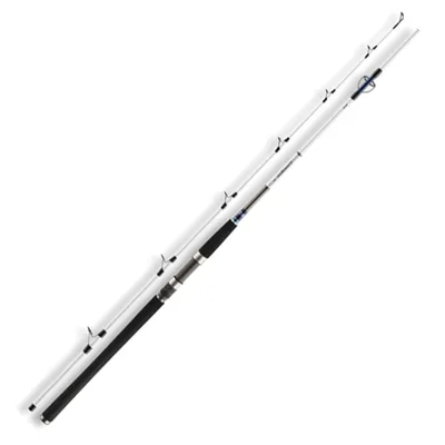 Obrázok produktu pre Lodný prút Daiwa Grandwave Pilk, WG g:50-125, dĺžka m:2.10