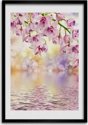 Produktbild von Bild - Bilderrahmen - Foto - 70 cm x 100 cm - MDF - Rahmen - Wandkunst - Orchidee