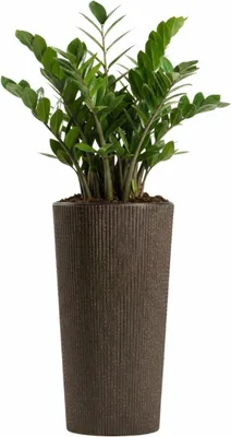 Produktbild von HowHomely | Blumentopf - Pflanzgefäß - braun - 36x20 cm - geriffelt - Pflanzkübel - Übertopf