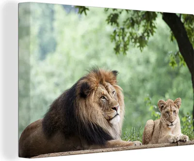 Produktbild von OneMillionCanvasses® - Leinwandbilder - 140x90 cm, Löwe - Baum - Pflanze, Wandbilder Kunstdruck Wanddekoration