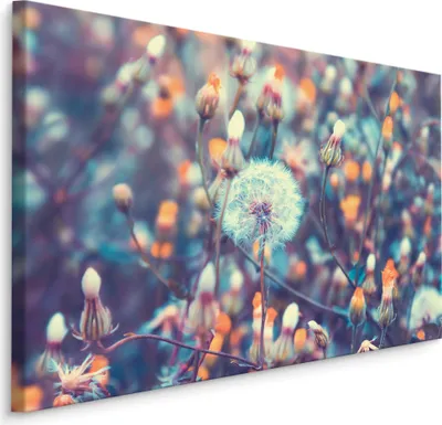 Produktbild von Fabelhafte Canvas LEINWAND BILDER 30x20 cm XXL Kunstdruck Natur Pusteblume Wiese