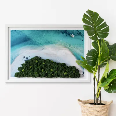 Produktbild von Moosbild mit Echtem Isländisch Moos - 60x40 cm - Weißer MDF-Rahmen - Azurblauer Strand