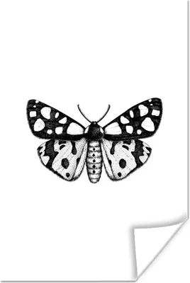 Produktbild von MuchoWow® Poster Schmetterling - Vintage - Schwarz und weiß 60x90 cm - Wanddekoration