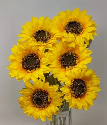 Produktbild von 6er Set künstliche Sonnenblumen gelb H. 62cm mit XXL Blüte Emerald Kunstblumen