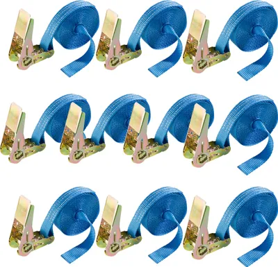 Produktbild von AREBOS Spanngurte 10x 6 m | 800 kg | mit Ratsche | 25 mm | DIN EN 12195-2 blau