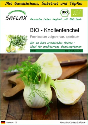 Produktbild von SAFLAX Anzucht Set - BIO - Knollenfenchel - Foeniculum vulgare var. azoricum - 100 Samen - Mit Mini-Gewächshaus, Anzuchtsubstrat und 2 Töpfen