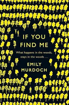 Produktbild von If You Find Me
