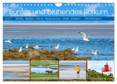 Produktbild von Buntes und blühendes Borkum (Wandkalender 2027 DIN A4 quer), CALVENDO Monatskalender
