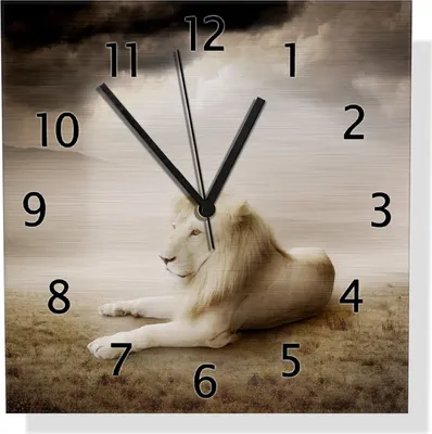 Produktbild von Wallario Design Wanduhr Stattlicher ruhender Löwe in Afrika in Sepiafarben aus Aluverbund, Größe 30 x 30 cm