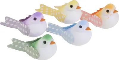 Produktbild von VBS Vögel Klara Set 5 Stück 2.5x3x6 cm