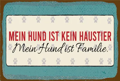 Produktbild von vianmo Blechschild 30x40 cm Mein Hund ist kein Haustier
