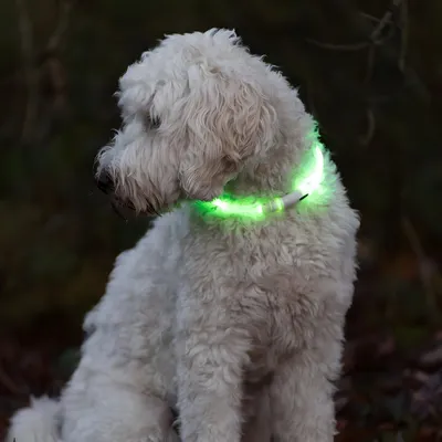 Produktbild von Nobby LED Lichtband Visible grün