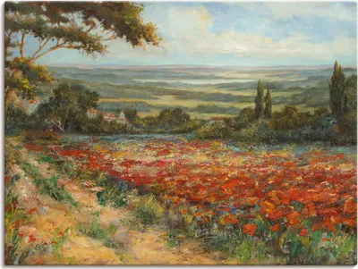 Produktbild von ARTland Leinwandbild Weg am Mohnfeld Größe: 40x30 cm