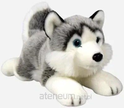 Produktbild von DUBI PLUSZ Husky Hund liegend 34cm 48853