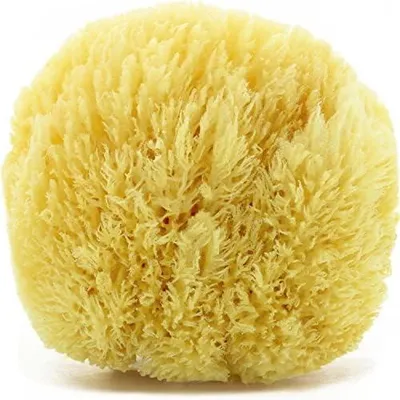 Produktbild von ® Naturschwamm Grass – extra viel Schaum, sensible Haut (13-14 cm) | Echter Meeresschwamm aus Griechenland · Dermatest „sehr gut" · plastikfrei verpackt