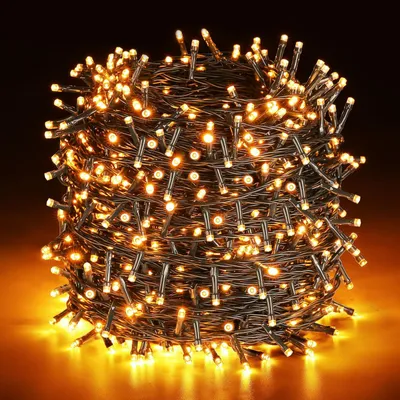 Lichtsnoer 100 m, 1000 LEDs, 8 Modi, Warmweiß, IP44