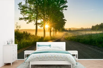 Produktbild von MuchoWow® Fototapete für Wohnzimmer oder Schlafzimmer Wandtapete Vinyl Motivtapete Sonnenaufgang durch die Bäume - 360x240 cm - Vinyl-Tapete
