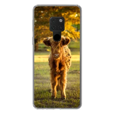 Produktbild von MuchoWow® Handyhülle Schutzhülle Hülle für Huawei P40 Lite Schottischer Highlander - Kalb - Herbst Silikon Softcase Handy Hülle - Handy