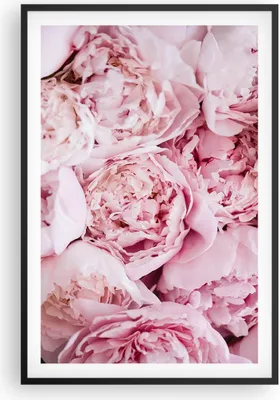 Produktbild von Gerahmtes Poster - Schwarzer Rahmen - Blumenstrauß Blumen Rosa - 61x91,5 cm - Wand Bild - Wanddeko - Wandbilder - Kunstposter - Wandposter - Bilderrahmen - Bilder - Kunstdruck - P2BPA61x91-5001