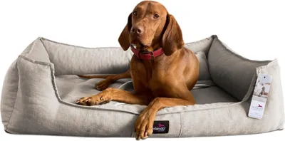 Produktbild von tierlando® Orthopädisches Hundebett SCARLETT >> inkl. Matratzenschoner << - Größe: 160x110cm | Farbe: 14 Beige