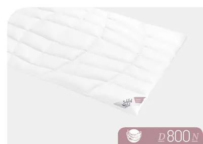 Produktbild von Schlafstil Bettdecke Daunendecke D 800 Normal 155 x 200 cm