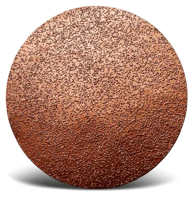 Produktbild von Hartmetallsplitt-Klett-Scheibe aus Carbide, 225 mm für Trockenbauschleifer, grob (ca. K 14)