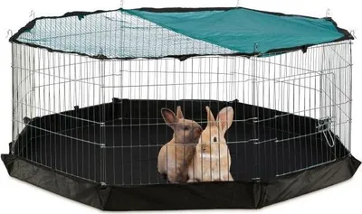 Image de Enclos pour petits animaux avec filet et fond de protection