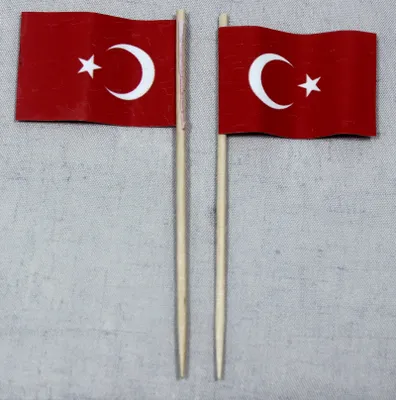 Produktbild von Party-Picker Flagge Türkei Papierfähnchen in Spitzenqualität 25 Stück Beutel