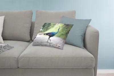 Produktbild von MuchoWow® Zierkissen Sofakissen Wohnzimmer Dekokissen 60x40 cm Pfau - Tiere - Federn - Kopfkissen - Polster mit Foto