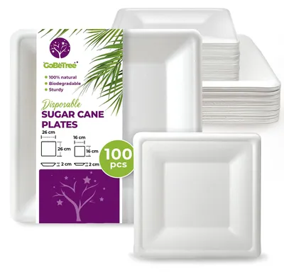 Image de 100 assiettes jetables en canne à sucre en deux tailles
