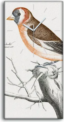 Produktbild von Wandkunst Leinwand Bild Uhr Geräuschlos 30x60 Gemälde Tier Vogel Zweig Kunst - weiße Hände