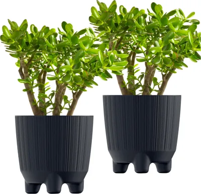 Produktbild von 2x Blumentopf Pflanzentopf Übertopf Rund Blumenkübel Ryfo N 14,5 cm